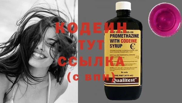 крисы Осинники