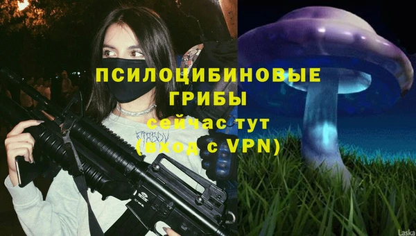 экстази Осташков