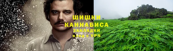 винт Гвардейск