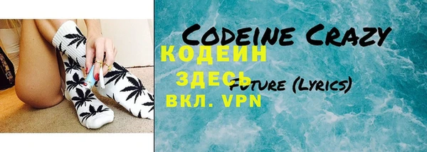 крисы Осинники