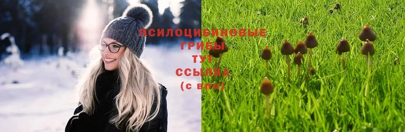 Галлюциногенные грибы MAGIC MUSHROOMS  Калтан 